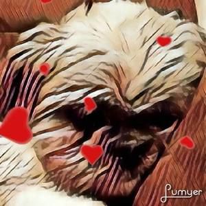 Meet your Posher, Darla